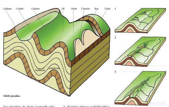 Erliebe jurasikoa.<br><br>